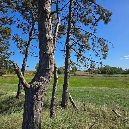 Vakantiehuis Luxury Retreat By The Sea - By Traum *