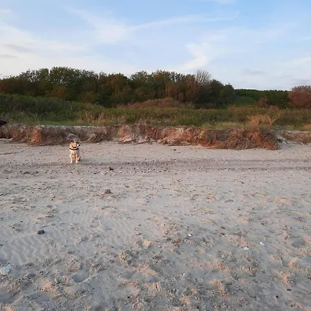 Vakantiehuis Luxury Retreat By The Sea - By Traum *