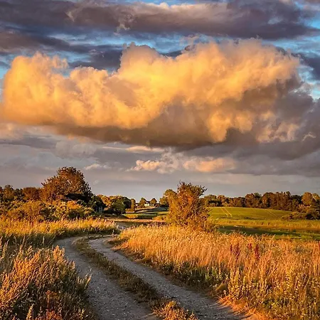 Luxury Retreat By The Sea - By Traum Høruphav